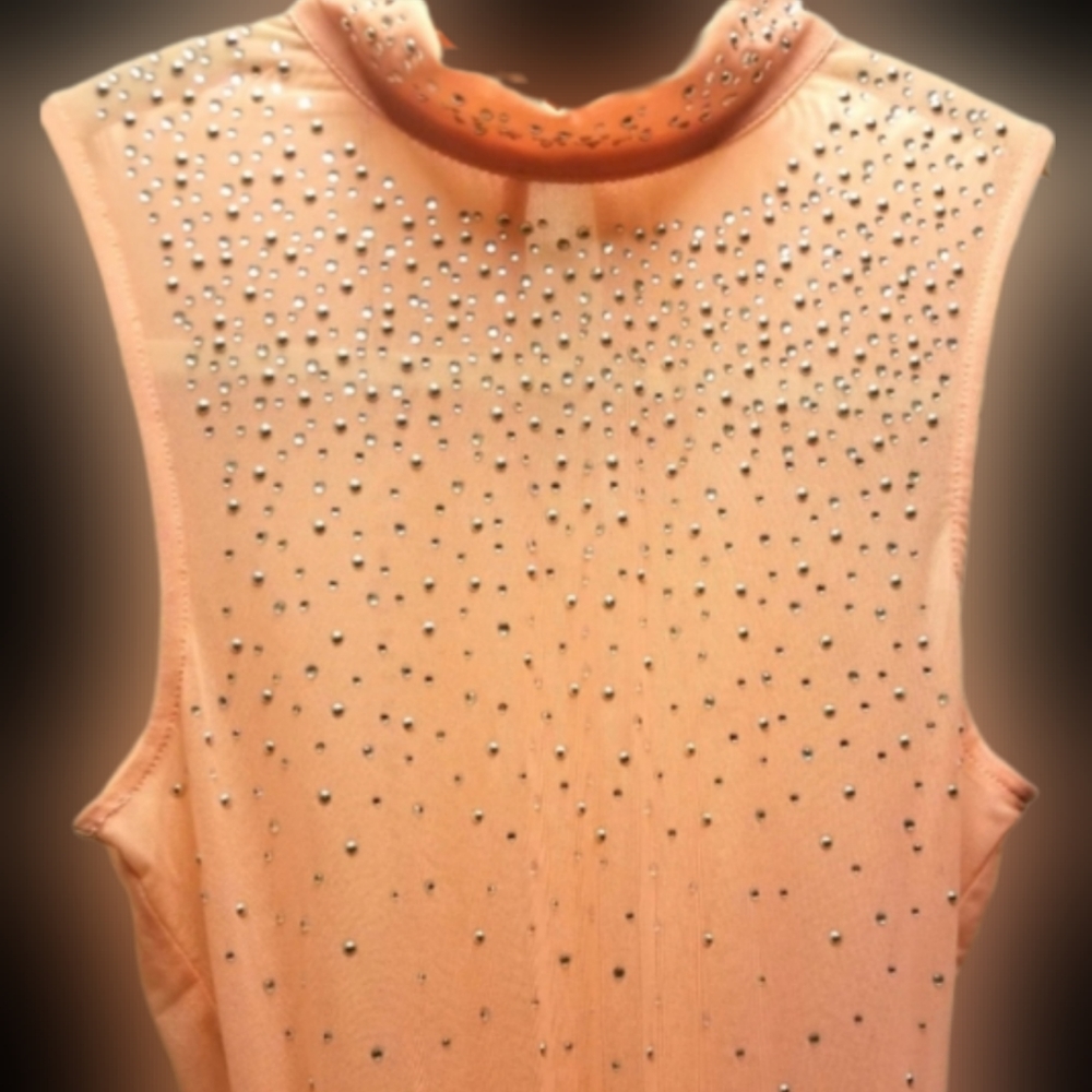 NWT Soft Pink Silver Bling Rhinestone Sheer Bodysuit